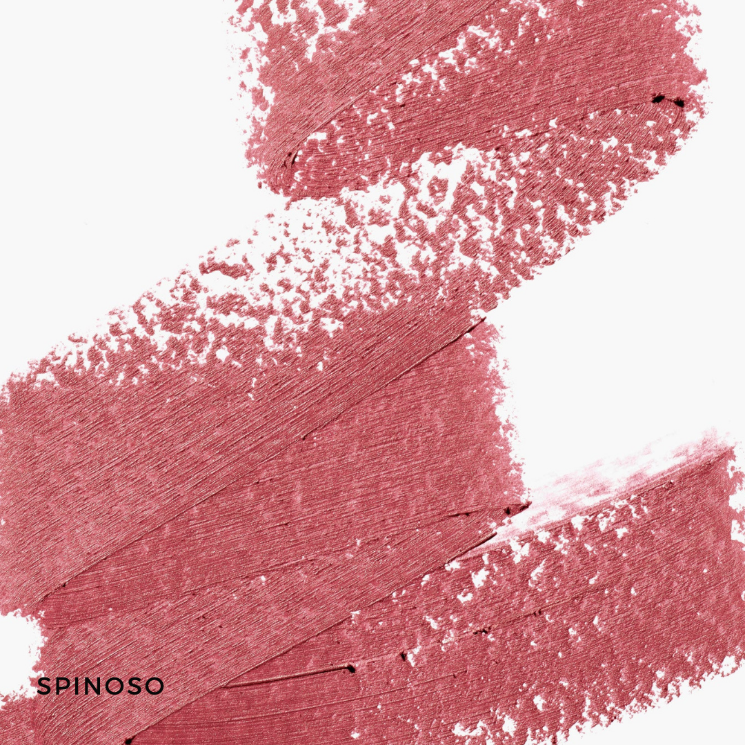 Eye And Lip Definer Spinoso