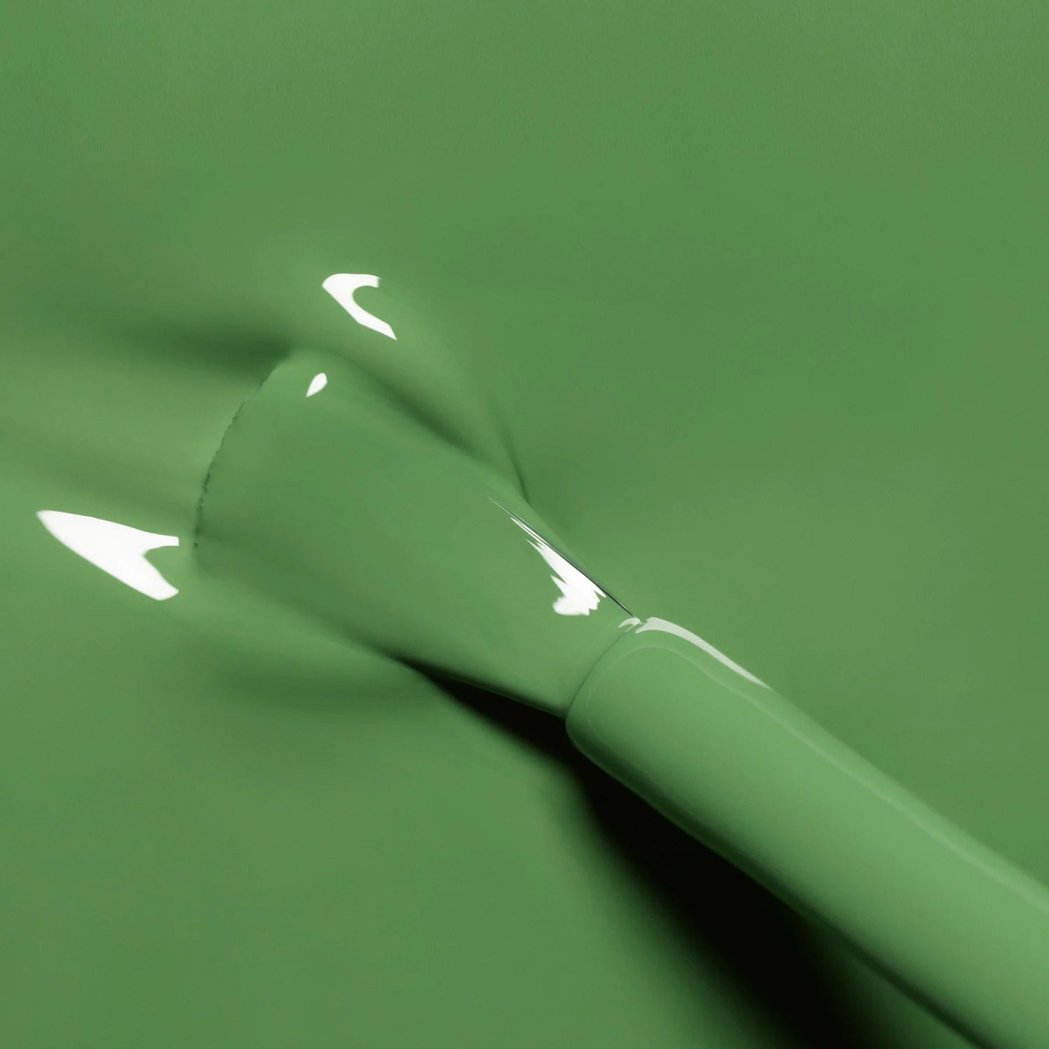 Green lak Artichaut