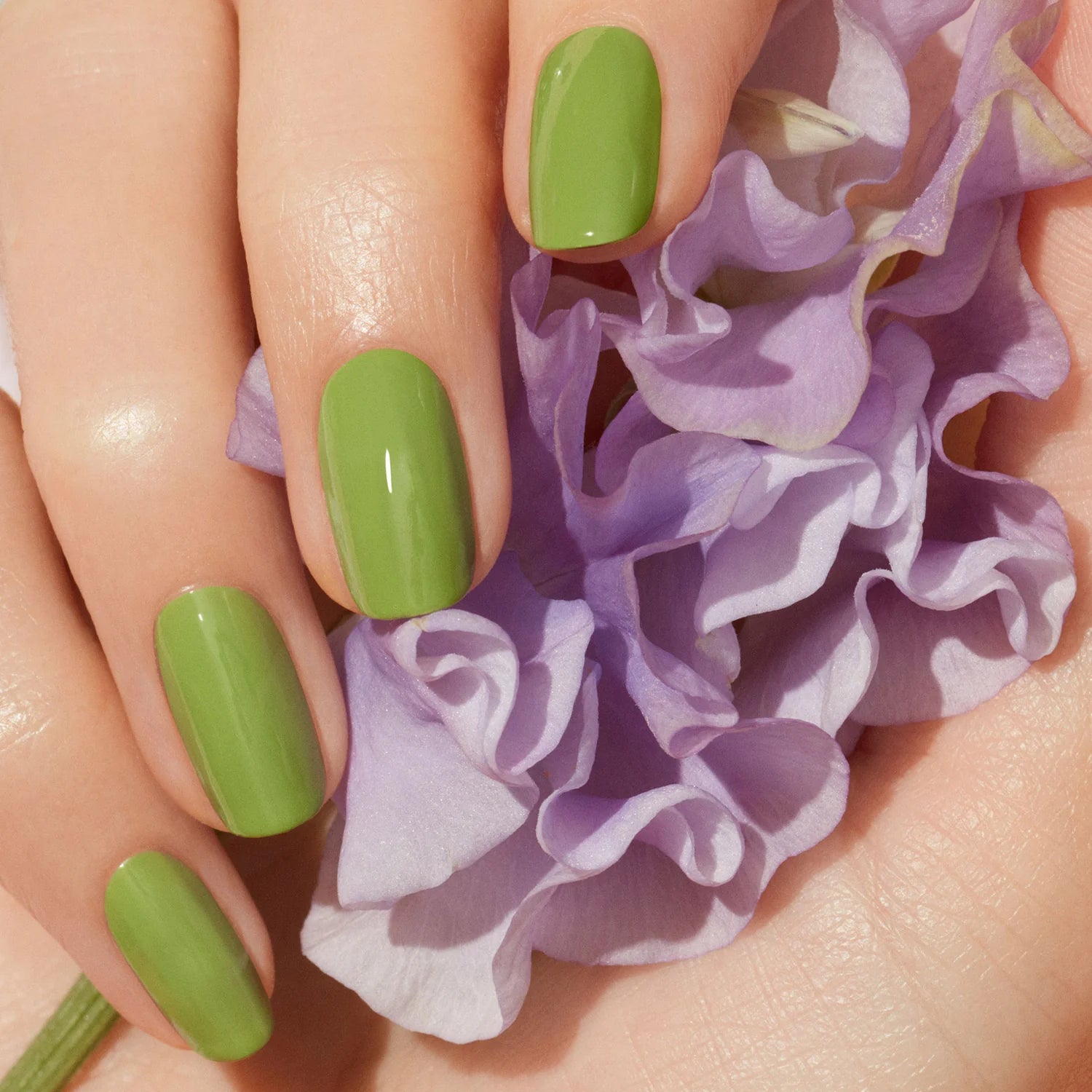 Green lak Petit Pois