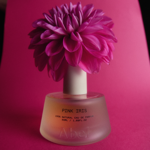 Pink Iris