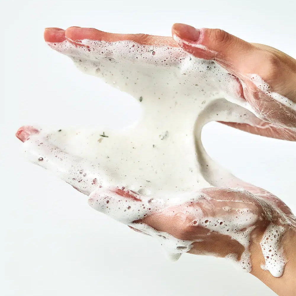 Heartleaf Quercetinol Pore Deep Cleansing Foam