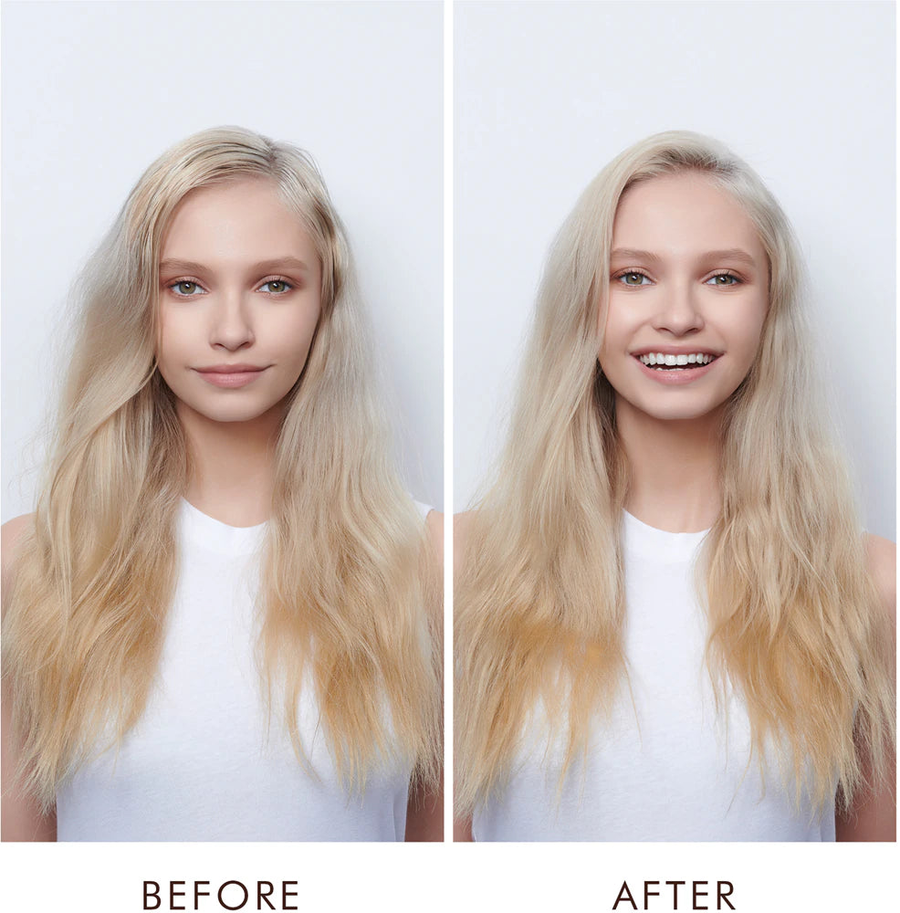 Dry Shampoo Light Tones Travel