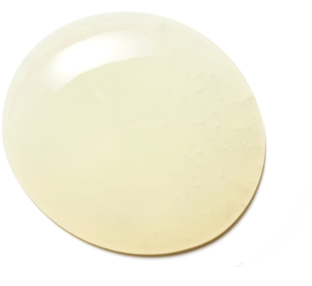 Frizz Control Shampoo Travel