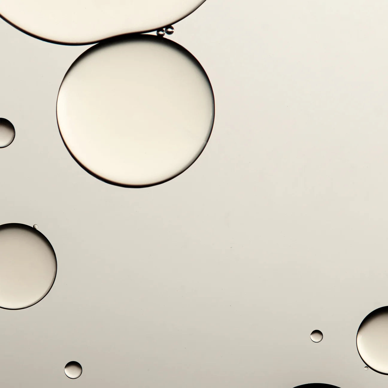 Queen of Hungary Mist