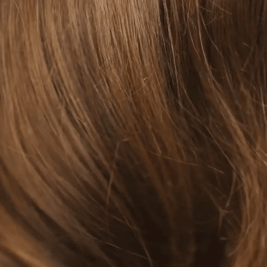 Heat Protectant Shield