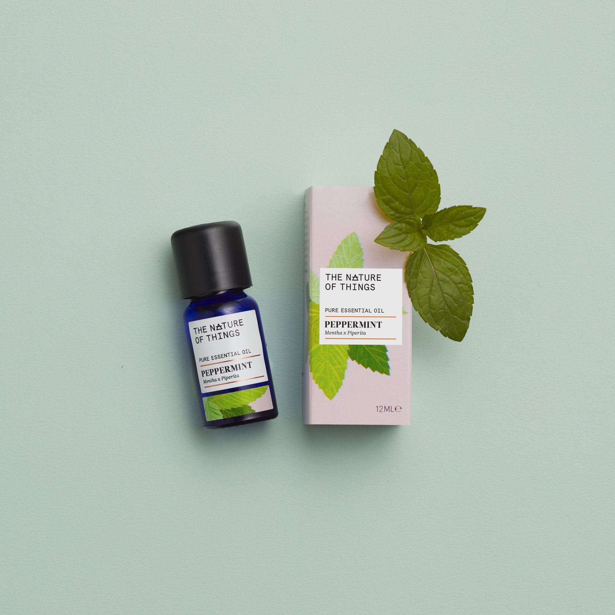 Máta peprná esenciální olej - Peppermint - 12 ml