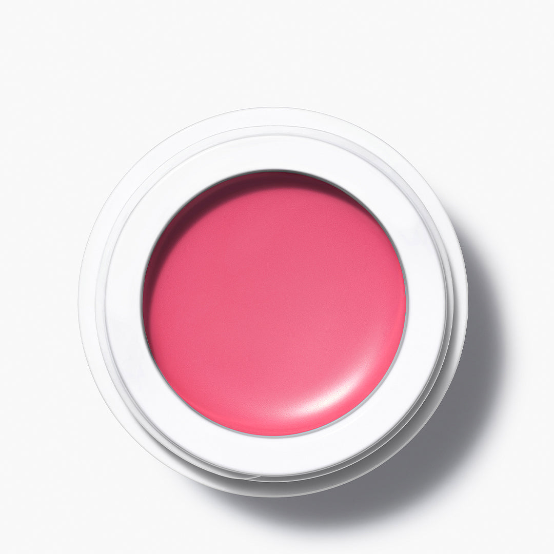 All Over Colour Dianthus