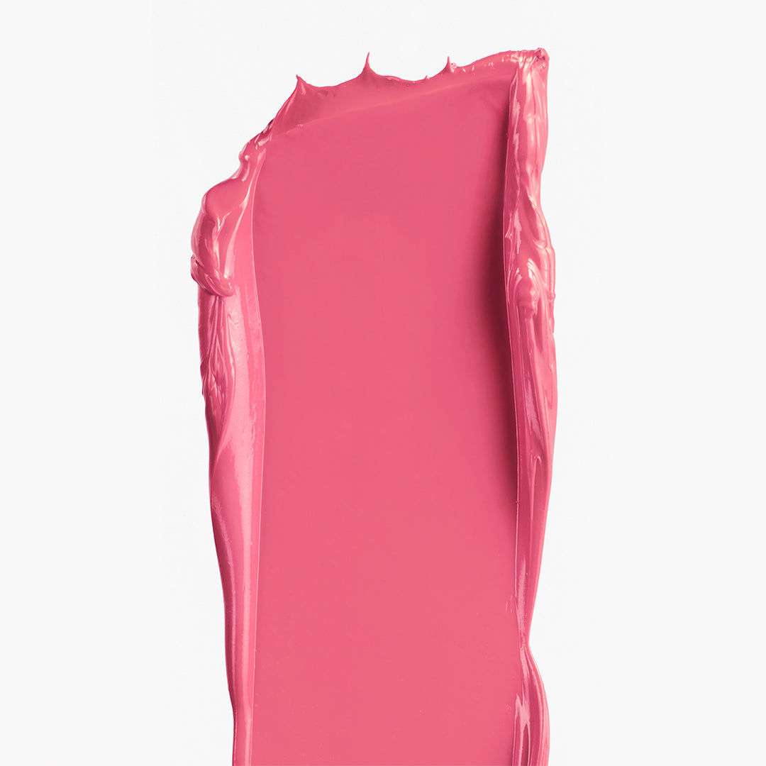 All Over Colour Dianthus