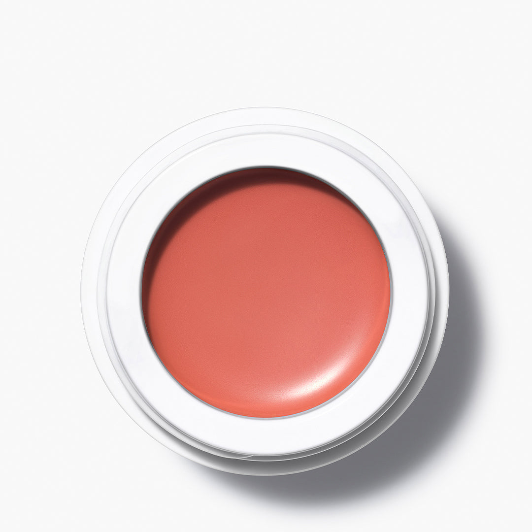 All Over Colour Gazania